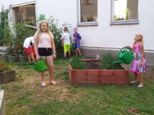 IMG-20200825-WA0020